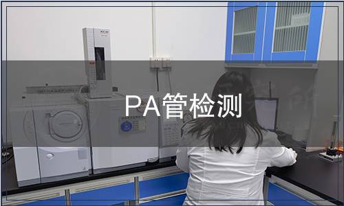 PA管檢測