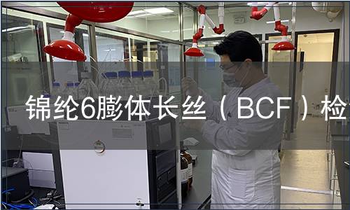 錦綸6膨體長(zhǎng)絲（BCF）檢測(cè)