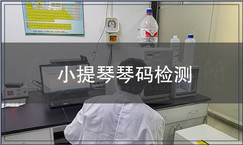 小提琴琴碼檢測