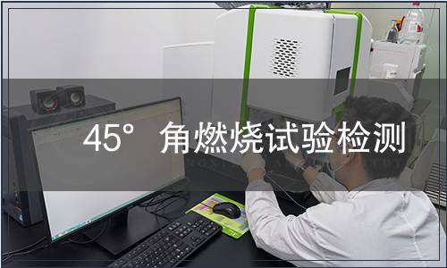 45°角燃燒試驗檢測