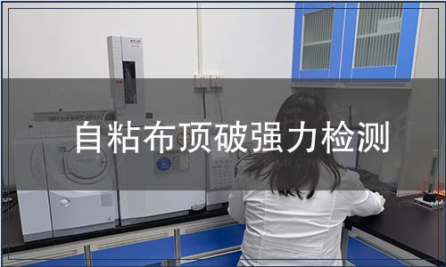 自粘布頂破強力檢測