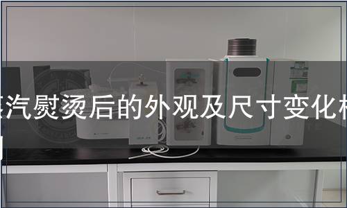 蒸汽熨燙后的外觀及尺寸變化檢測